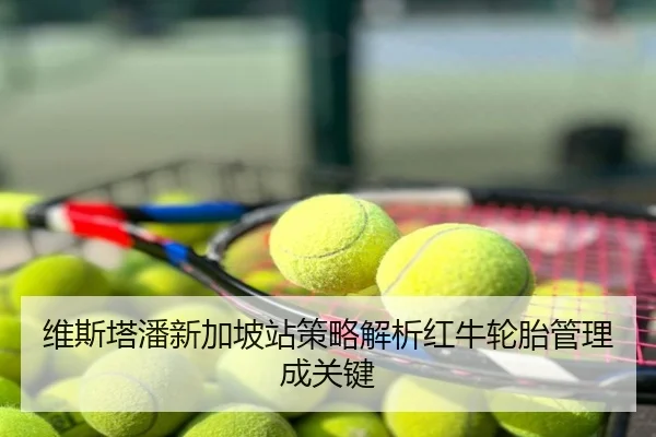 维斯塔潘新加坡站策略解析红牛轮胎管理成关键